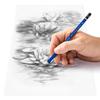 Staedtler 8B Mars Lumograph Aquarelle Акварельные карандаши для рисования тушью, 12 карандашей, 100A-8B*12