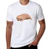 Mole Rat Tshirt Trendy Pattern For Unisex Tshirt