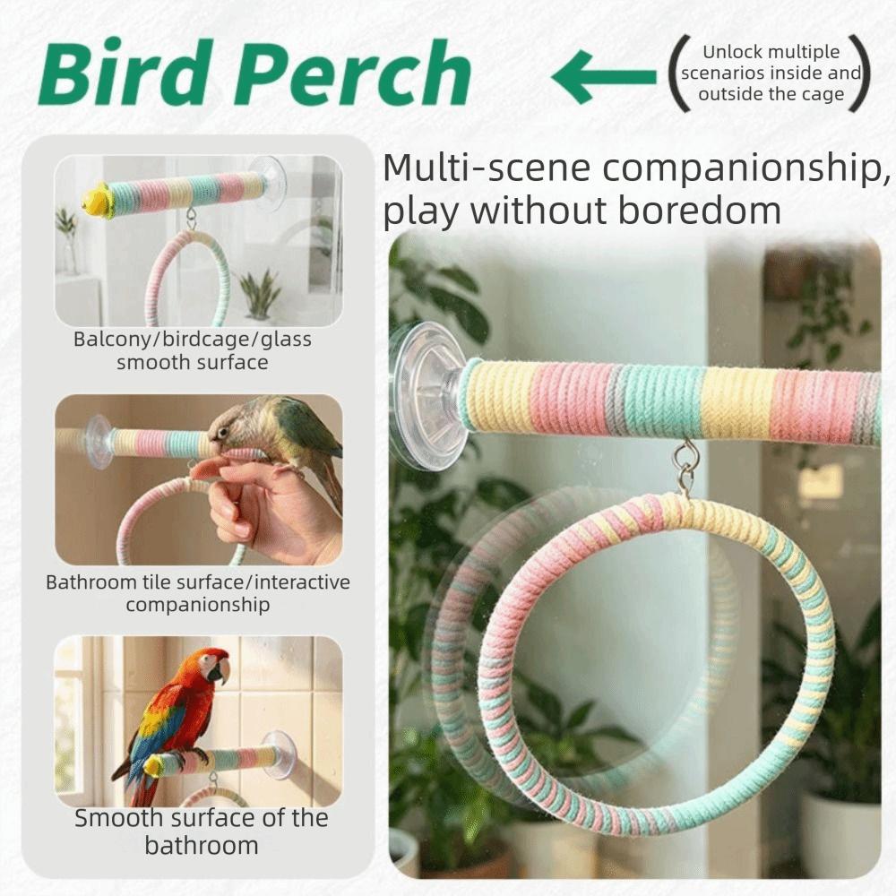 Suction Cup/ Screw Suction Cup Swing Set Bird Claw Beak Grinding Bar Bird Standing Perch