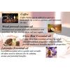 Ayutree Coffee Lip Scrub 50gm