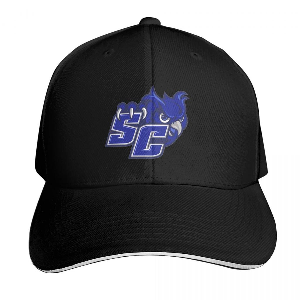 Южный Коннектикутский государственный университет Южный CT государственный университет Южный Коннектикутский государственный университет Вход SC Бейсболка