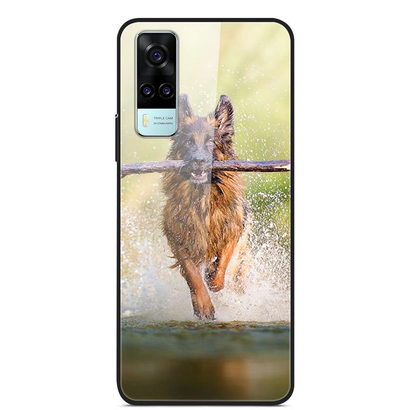 Tempered Glass Case For Vivo Y31 Y51 Case Soft Silicome Bumper For Vivo Y51 Y31 Phone Case Hard Glass Back Cover Y 31 Y 51 Funda