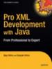 Книга Pro XML Development with Java Technology