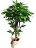 Eco-friendly Artificial Money Tree Bonsai with Real Trunk - Floor-standing Home Decor for Entrance & Garden, Attracts Wealth.