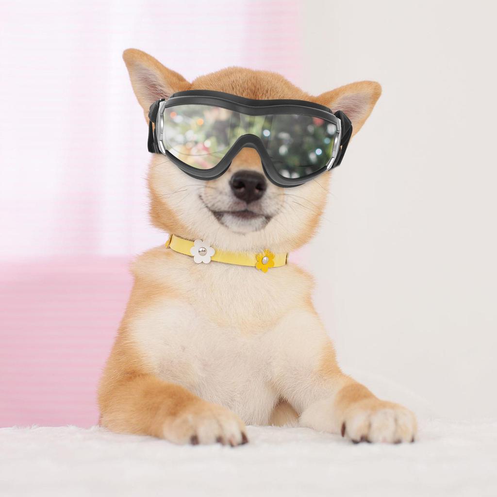 Protective Goggles for Dogs Pet Outdoor Goggles Lightweight Uv Resistant Windproof Snowproof Pc PVC Material Running Walking