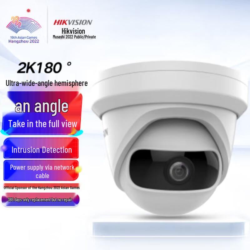 Hikvision Professional Security & Storage Solutions CN plug (adapter included)