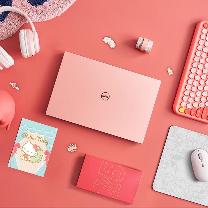 Dell Inspiron 15 Pro Lightweight Laptop (CN version)