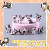 AAGWW Working Cat Figure Kitten Toy Mini Toy Cat Birthday Party Accessory 9 Brown Cheesecake Set, Figure, Character, (Product Contents Flavors)