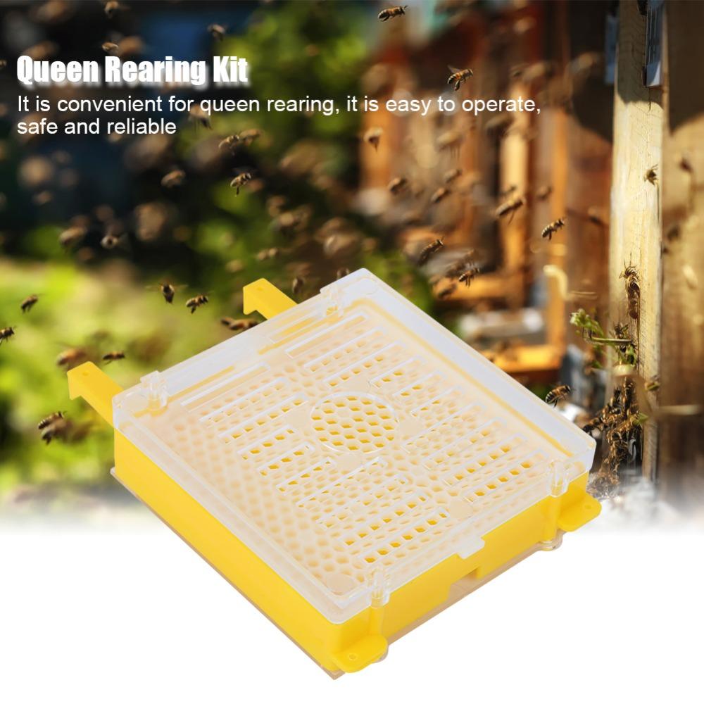 251Pcs Reliable Queen Cell Protective Cover Convenient Full Bee Breeding Set Beekeeping
