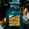Tom Ford Fleur De Portofino Туалетная вода, Предыдущая версия
