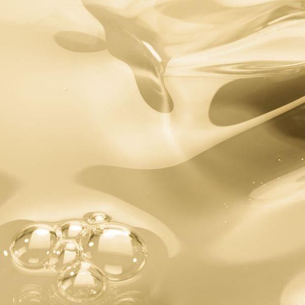 Huile - Melvita - Bourrache Bio - 50ml - Anti-âge - Élastique - Douceur