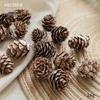 Natural Pine Cones, Logs, and Dried Fruits - Christmas Atmosphere Decoration Supplies
