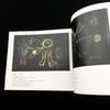 [USED] "Rudolf Steiner: Blackboard Drawings Left Behind" by Iwao Takahashi, 1996, first edition