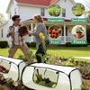 Insulated Plant Cover Pop Up Plant Netting Clear PVC Plant Protector Cage  Vegetable Beds