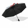Liverpool Automatic Umbrella with 8-Rib Lightweight for Outdoor Daily Use Elegant Women's Umbrella Perfect Gift for Friends Family