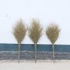 Gongyue Heavy-Duty Integrated Bamboo Broom