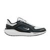 Air Zoom Pegasus 41 Gore-Tex Черный Антрацит Железно-серый Вершина Белый