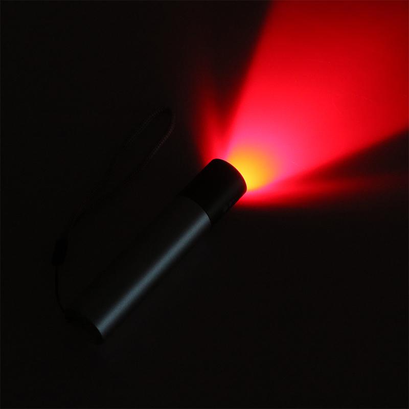 Portable Led Near Infrared Infra 850Nm Handheld Medical Lamp 660Nm Led Red Light Therapy Torch Therapy Lamp Usb Direct Charging