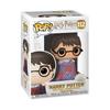 FUNKO HARRY Гарри Поттер Мантия-невидимка POP! Поттер с/