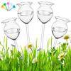 4 шт. стеклянные лампы для полива растений, прозрачное стекло