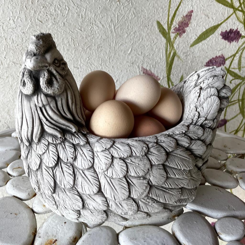 Concrete flowerpot gray decorative hen