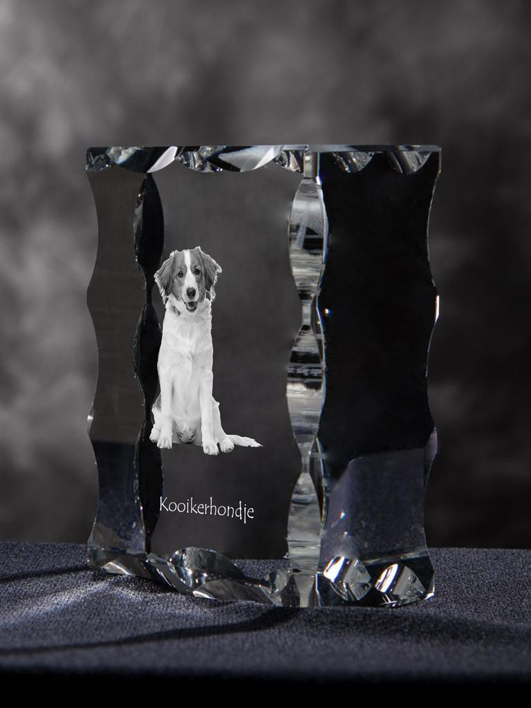 Kooikerhondje - crystal with a picture of a dog, glass statuette with a picture, unique frame with a picture from Art-Dog brand