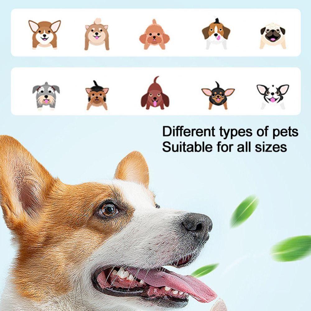 Small Dog Soft Bristle Toothbrush Pet Three-head Toothbrush Nylon Pet Oral Care Cleaning