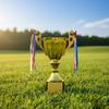 Metal Model Prize Cup 28/32/35/40/44/50cm Award Trophy Small Prize Competition Trophy  Soccer Games