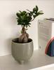 Ceramic Planter on Legs