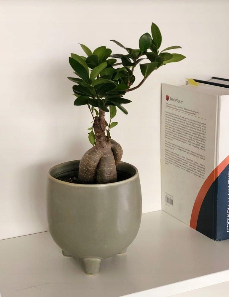 Ceramic Planter on Legs