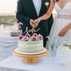 Wood Cake Plate with Clear Dome Lid Wooden Cake Display Stand Wooden Pedestal Stand for Cheese Chips Fruit Platter