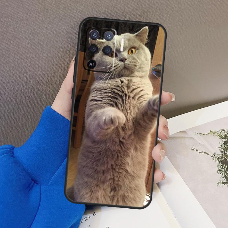 Чехол для кошки Британская короткошерстная для Oppo A78 A38 A18 A98 A58 A60 A80 A40 A96 A76 A16 A94 A74 A54 A15 A17 A57 A77 A5 Pro