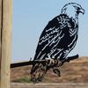 Eagle Flag Tree Stake Metal Animal Silhouette Decoration Garden Decor Animal Sign with Stake for Garden Tree Fence Post Outdoor Decor