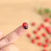 50шт миниатюрный DIY маленький садовый декор Coccinella Septempunctata изделия из смолы