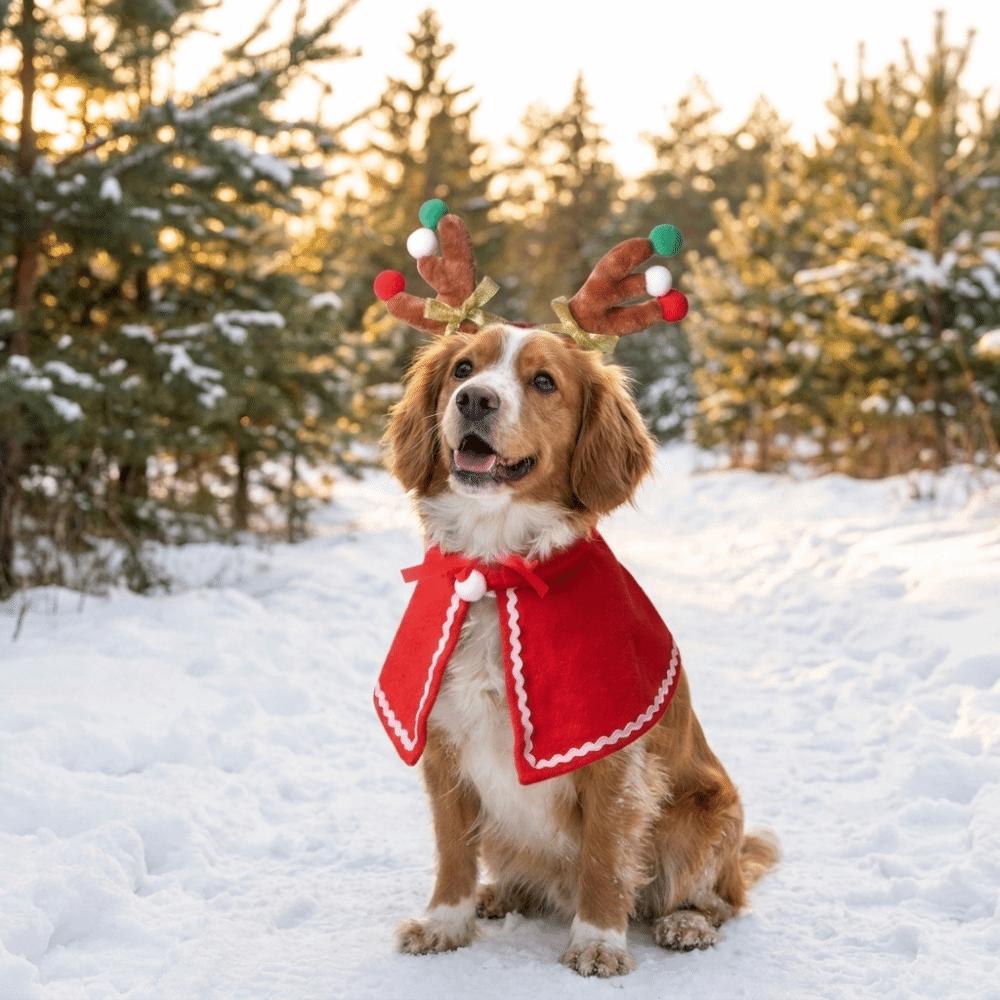 2PCS/Set Warm Christmas Pet Antler Cape Set Lightweight Dog Christmas Costume Small Dogs Cats