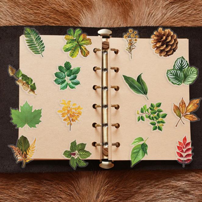 50 шт. Стикеры-граффити с листьями растений Эстетичные DIY Наклейки из ПЭТ для Багажа, Велосипеда, Телефона, Компьютера Новогодний Подарок Декор