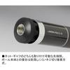 Daiwa Landing Pole 2 600 Fishing Rod Lightweight Durable Aluminum 600cm