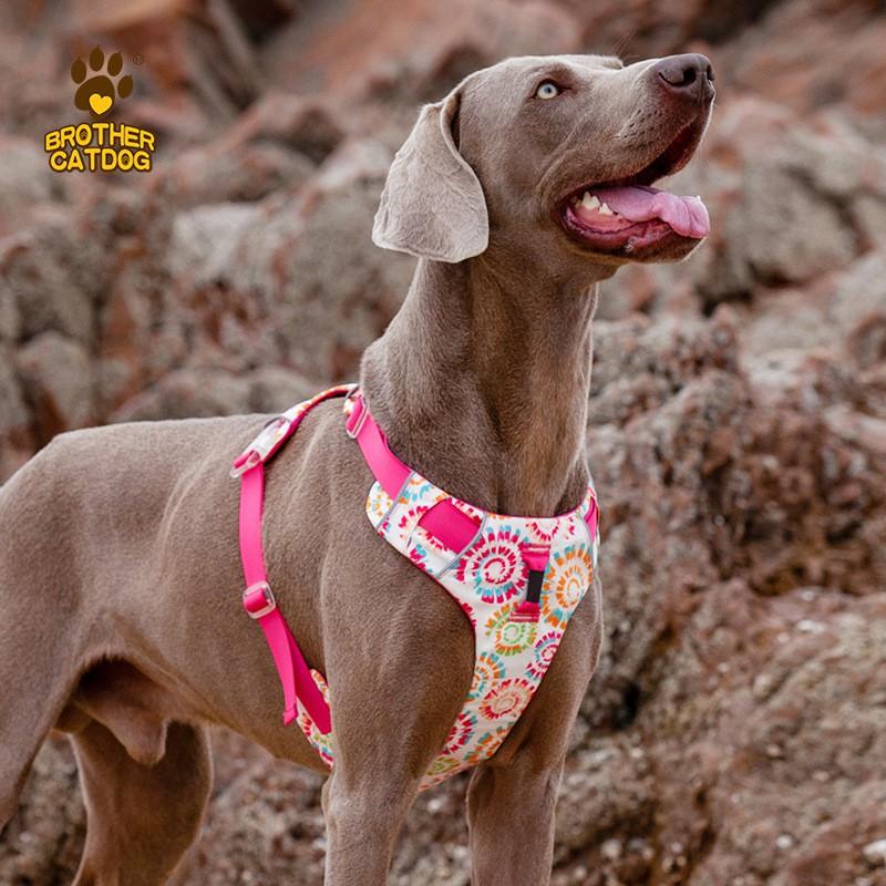 Dog Harness Vest With Adjustable Straps No-Pull Pet Leash Small Medium Large Dogs Colorful Comfort Fit