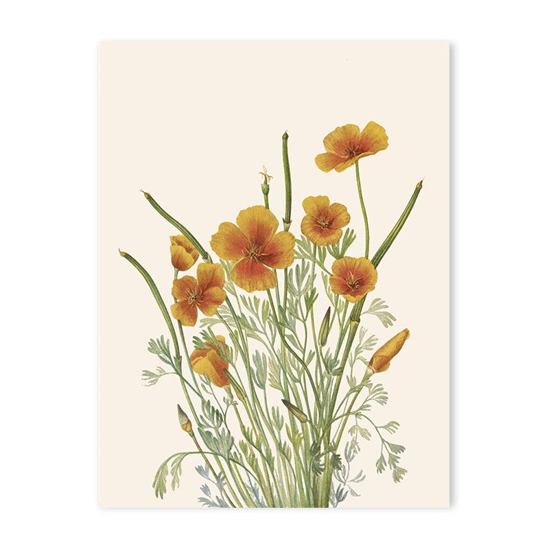 Винтажный цветочный принт с растениями, настенное искусство, постеры, живопись на холсте, скандинавский цветок, современный, скандинавский, эстетика гостиной, домашний декор