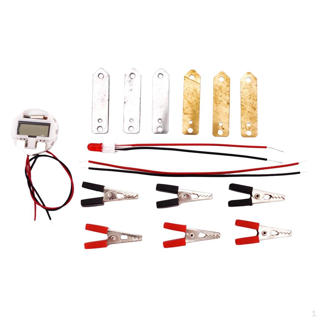 Fruit Energy Science Experiment Kit Physic Electricity Lemon Handmade Supplies