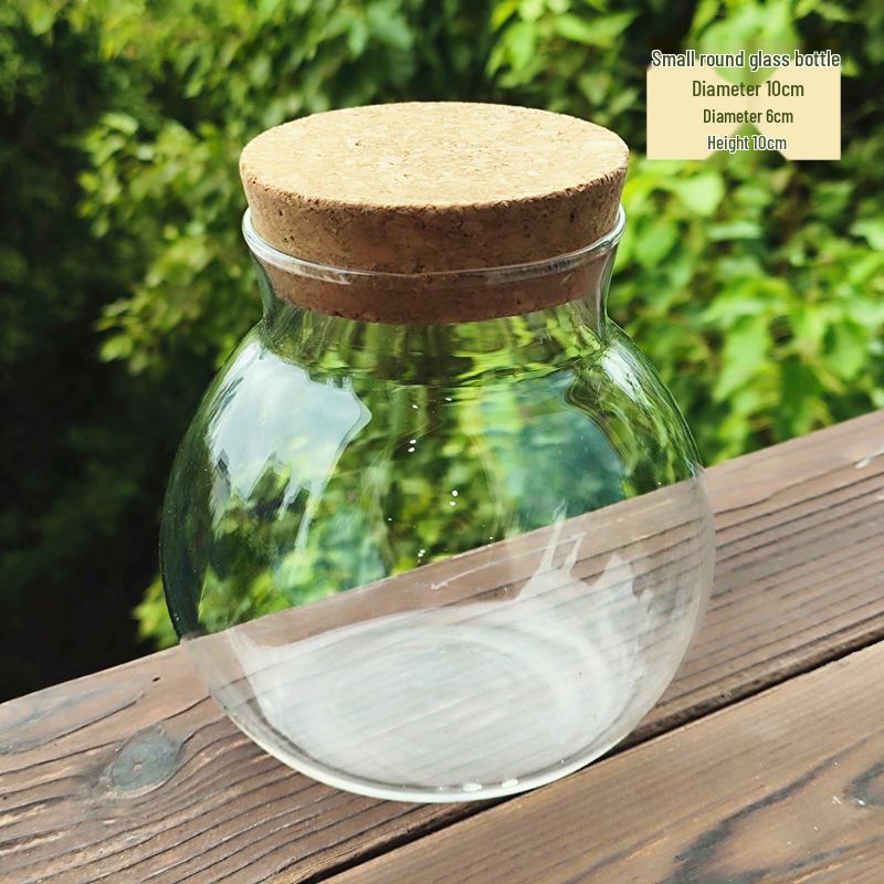 Moss Micro Landscape Glass Bottle: Creative Mini Plant DIY Paludarium