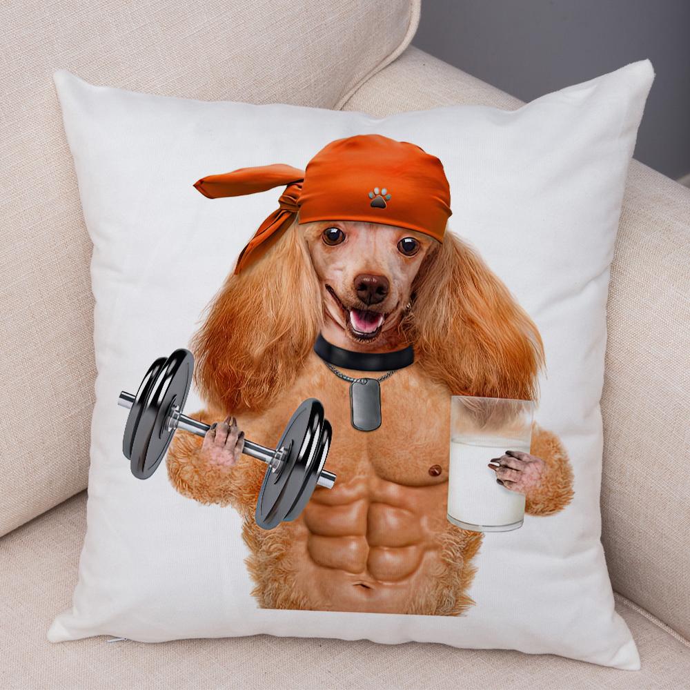 Funny Cat Dog Cushion Cover Fitness Animal Dumbbell Print Soft Fabric Living Room Sofa Home Decor Pillow Case