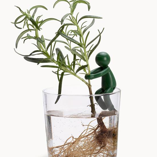 6 шт. держатель для размножения растений стебли ростки побеги ветки держатель для черенкования растений фиксация