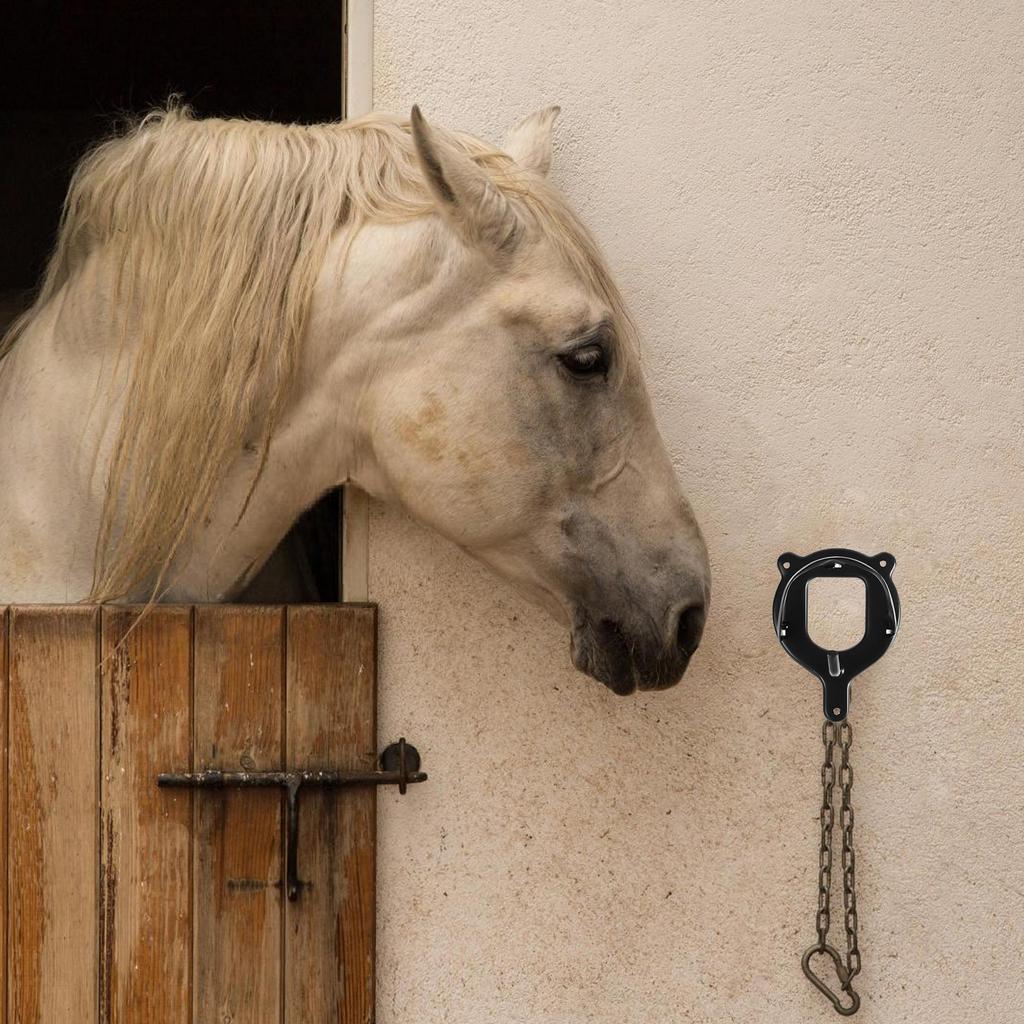 Horse Bridle Rack Replacement Horse Tack Storage Halter Hanger Bridle Holder for Easy Tack Storage and Organization