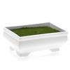 1 Pcs Artificial Small Bonsai Flower with Designer Pot | Realistic Looking - No Maintenance | Flower Pot for Home Decor,Office Decor, Table Decor.