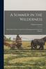 Книга A Summer In the Wilderness : Embracing a Canoe Voyage Up the Mississippi and Around Lake Superior