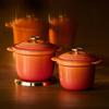 Anniversary Le Creuset Cast Enameled Pot Cocotte Every 20 Flammedre Crucible Light Gold Knob Gas IH Oven Compatible Japanese [100th Goods] [Authorized