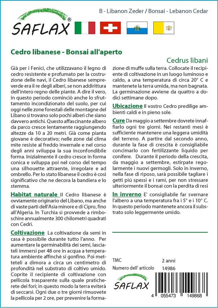 SAFLAX Garden in the Bag - Бонсай - Ливанский кедр - 20 семян - С субстратом в подходящем пакете - Cedrus libani