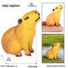 Когнитивный набор игрушек «Сибирский, Самцовый, Африканский и Белый тигры» для детей.