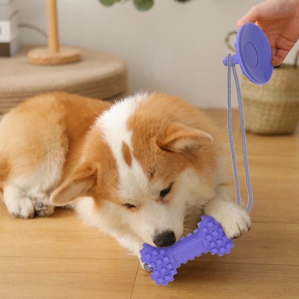 Bite-Resistant Dog Suction Cup Toys Teeth Cleaning Wear-Resistant Grinding Teeth Toys Durable Dog Chew Toys Physical Strength
